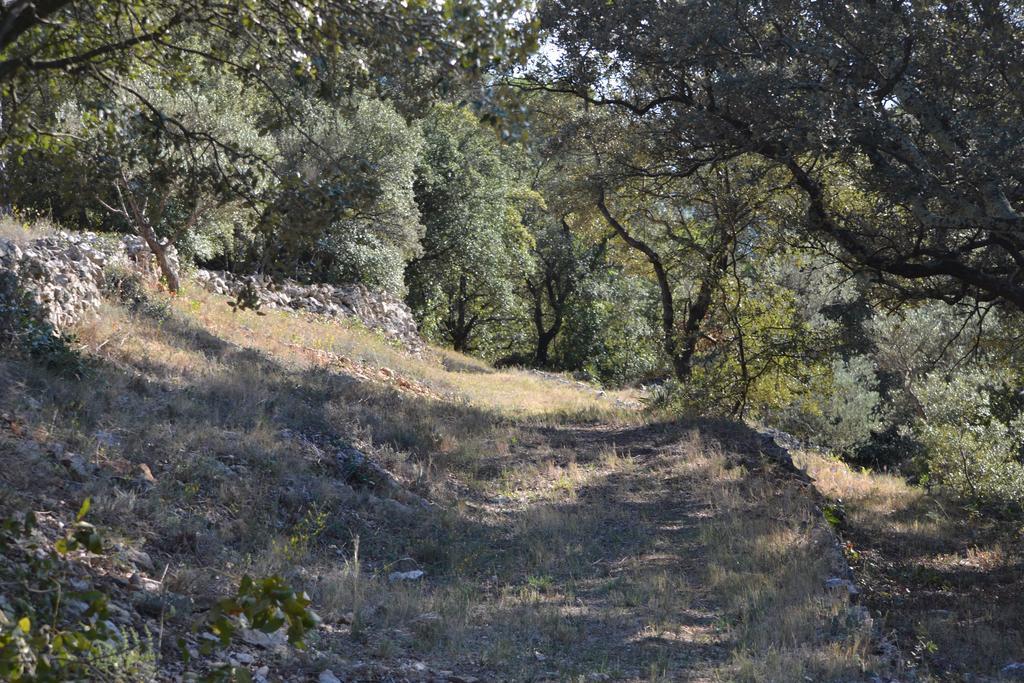 Вилла Tivoli En Provence Котиньяк Экстерьер фото